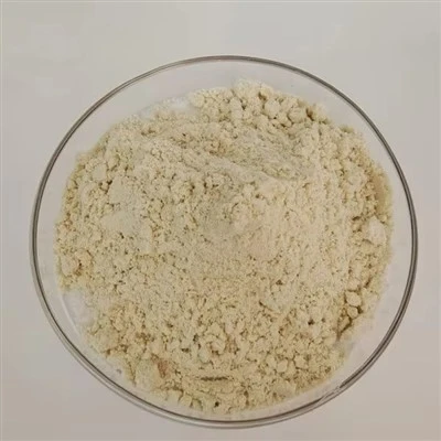 Có sẵn nguồn cung cấp số lượng lớn cấp kỹ thuật 2,4-Di-tert-butylphenol (DTBP)